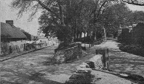 The Grove & Entrance to Colliton Park 1875 